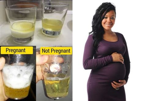 how to test pregnancy using salt and urine