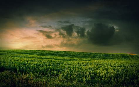 Top Hd Wallpapers Beautiful Fields With Clouds Hd Wallpaper
