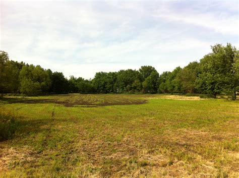 West Lafayette Acreage For Sale With Woods And Pasture 20 Acres