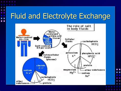 Ppt Fluids And Electrolytes Balance Powerpoint Presentation Free