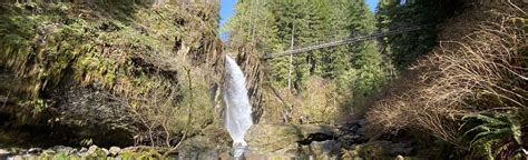 Drift Creek Suspension Bridge And Waterfall Trail 1378 Oregon