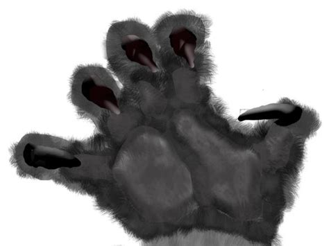 Werewolf Paw And Claw By Canuckzd On Deviantart
