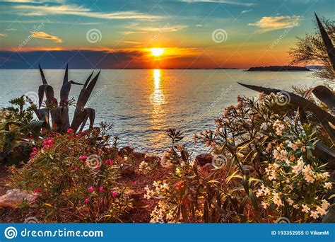 Sea Landscape At Sunset From Primosten Town A Popular Tourist D Stock