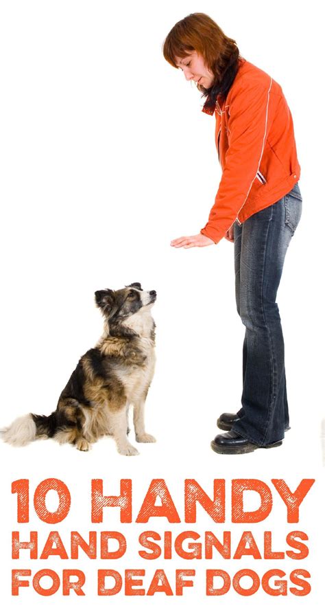 10 Handy Hand Signals For Deaf Dogs Deaf Dog Deaf Dog Training Dog