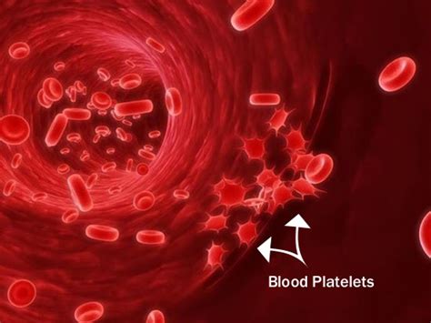Natural Ways To Increase Platelets Count In Blood Best Homemade Tips