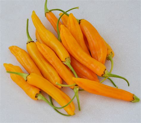 Aji Amarillo Small Pepper Seeds
