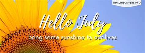 hello july sun kissed sunflower facebook cover photo