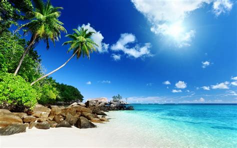 Tropical Nature Wallpapers Top Free Tropical Nature Backgrounds