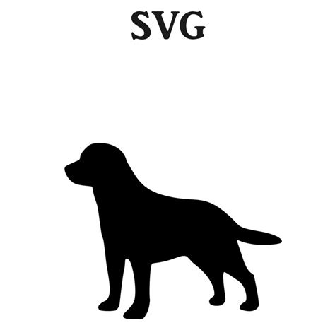 Lab SVG file SVG files for Cricut Svg files for Silhouette | Etsy