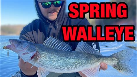 Spring Fishing For North Saskatchewan River Walleye Youtube