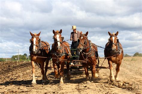 Amish Country Farming Pennsylvania Worldwide Destination Photography