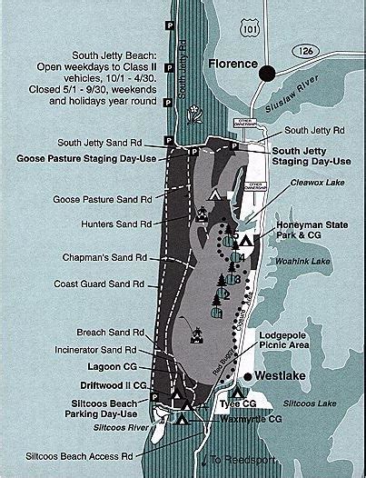 Oregon Dunes Sand Dune Guide