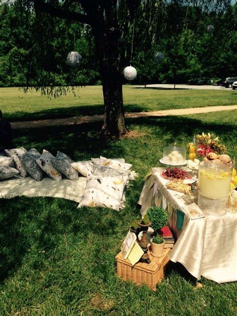French Country Picnic In The Park Baby Shower Party Ideas Photo 2 Of