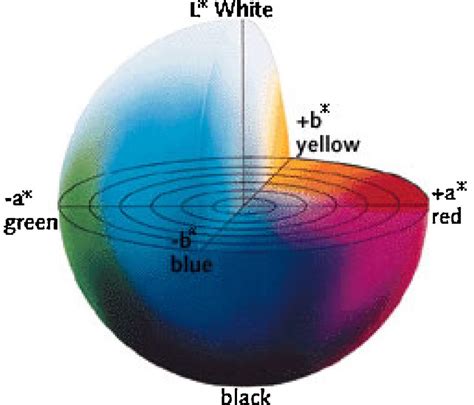 The Lab Model From Cielab Color Space Source Hunterlab Reston Va