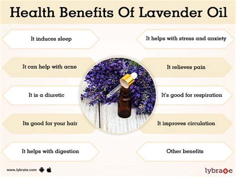 Benefits Of Lavender Oil And Its Side Effects Lybrate