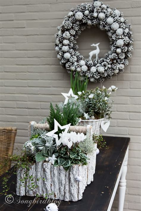 My outside Christmas table decorations  Songbird