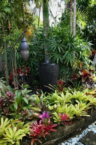 25 Small Landscape Full Sun Bromeliad Pictures And Ideas On Pro