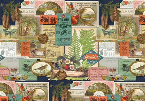 Moda Outdoorsy Outdoorsy Collage Hunting Fishing Camping Vintage Birds