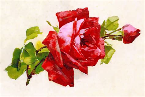 Joy Design Studio Vintage Art Red Roses Prints Postcard Painting The