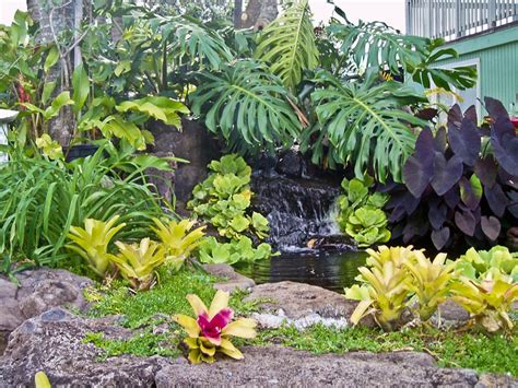 Tropical Garden Landscaping Ideas