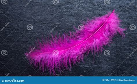 Pink Bright Feather On A Black Background Black Shale Textured