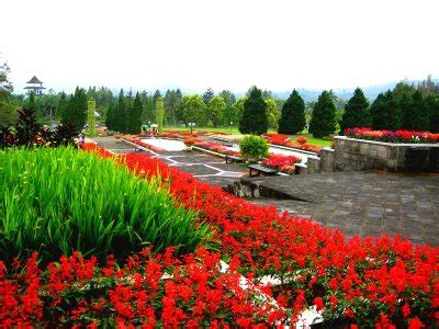 Waw bagai di negri dongeng taman bunga terindah di dunia. info CIPANAS: Taman Bunga Nusantara Cipanas