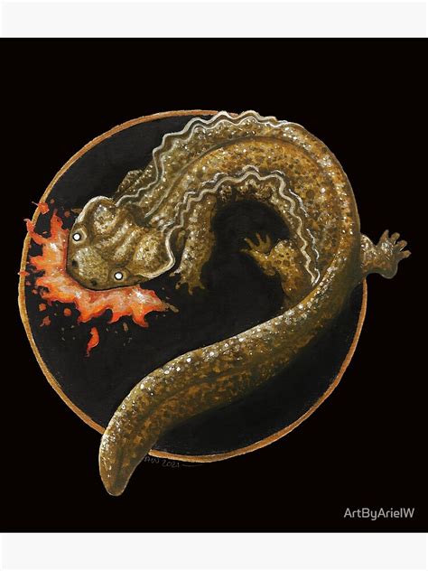 Hellbender Salamander Poster By Artbyarielw Redbubble
