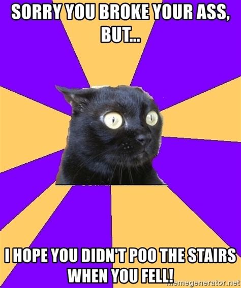 Sorry You Broke Your Ass But I Hope You Didn T Poo The Stairs When