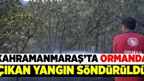 Kahramanmaraş ta ormanda çıkan yangında 3 hektar alan zarar gördü