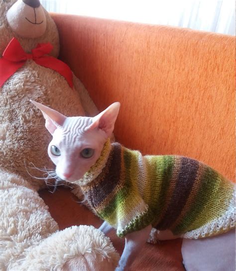 Clothes For Sphinx Knitted Sweater For Cats Cat Clothes Etsy Cat