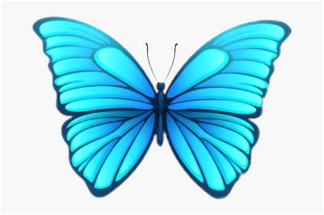 Set monarch butterfly with open wings. Blue Aesthetic Butterfly Png - Largest Wallpaper Portal