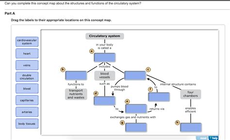 Circulatory System Concept Map Map Vectorcampus Map