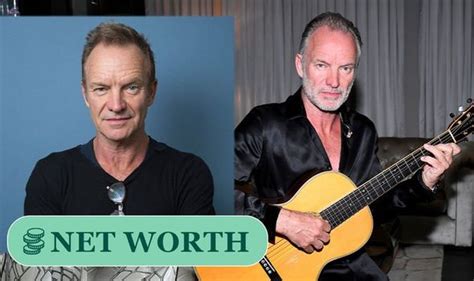 Sting Net Worth The Impressive Sum Singer Had Despite Accountant