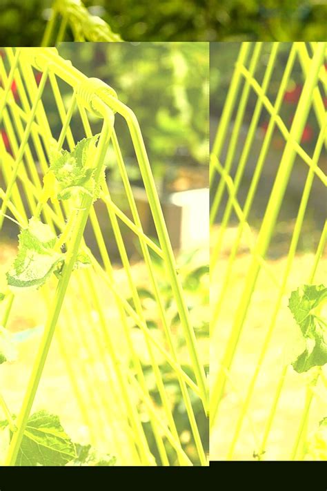 12 Best Trellis For Cucumber In Raised Beds Slick Garden