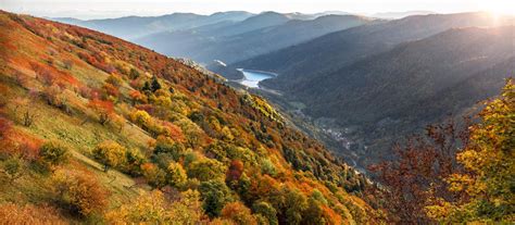 D'influence océanique en champagne, continentale en lorraine et alsace et plus précisément montagnarde pour les vosges. Parcours Rambervillers : les fontaines-lavoirs de Romont ...