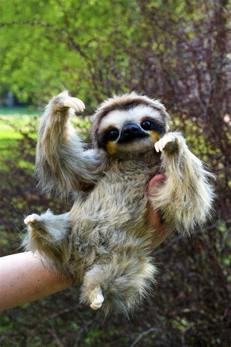 Sloth Etsy Baby Animals Pictures Cute Wild Animals Cute Baby Sloths