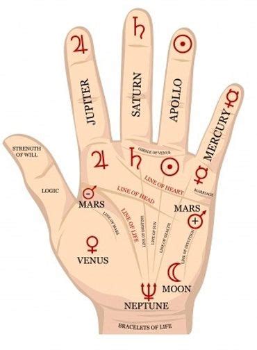 Famous Palmist And Palm Reading In Vedic Astrology Canada Palmistry