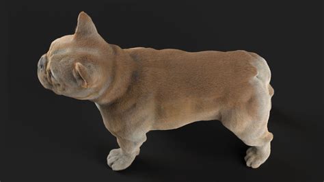 French bulldog 3d modelproduction year: French Bulldog | 3D model | French bulldog, Bulldog, Animals