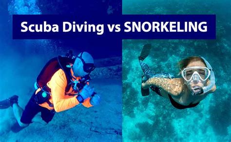 Snorkeling Vs Scuba Diving Differences And Similarities Snorkelvibe