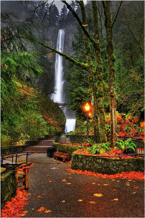 Autumn At Multnomah Falls Oregon Usa Beautiful Waterfalls Places To
