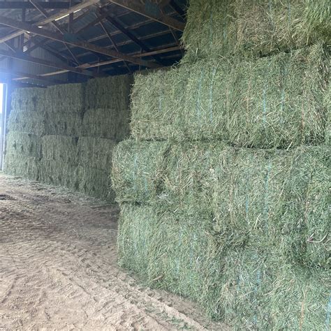 Alfalfa Hay For Sale | Allhay.Com
