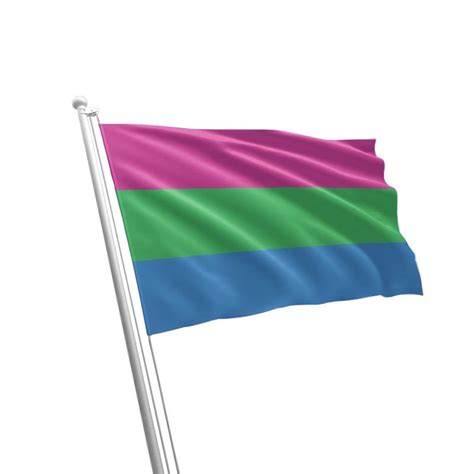 gay pride rainbow polysexual lgbt large flag 90cm x 150cm etsy