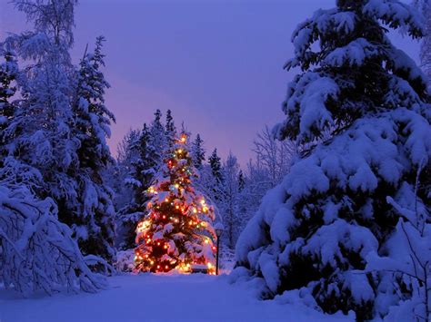 Joyful Season Christmas Landscapes