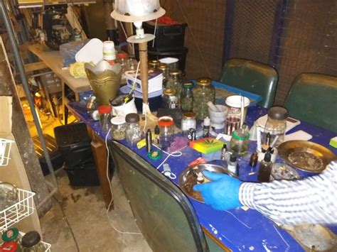 In Pics Massive Drug Bust Valued Over R500k Shocks Tzaneen Community The Citizen