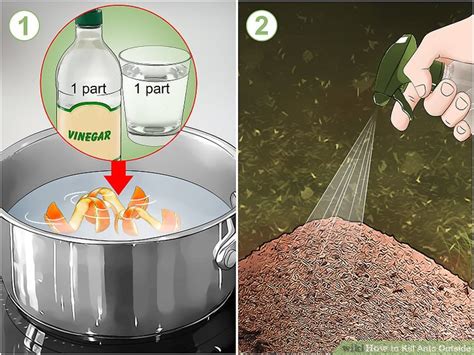 Do it yourself ant killer for outdoors. How to Kill Ants Outside: 11 Steps (with Pictures) - wikiHow