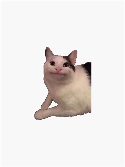 Polite Cat Ollie Meme Sticker For Sale By Bellopopello Redbubble