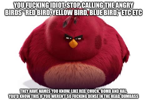 1605 Best Angry Birds Irl Images On Pholder Okbuddyretard Birds
