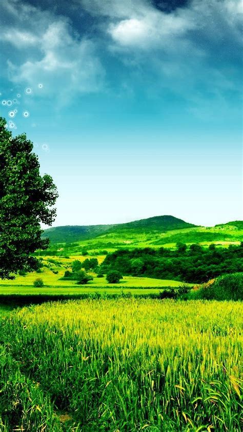 Wallpaper Android Nature Green 2020 Android Wallpapers