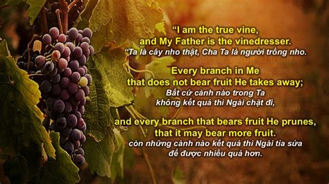 Scripture Song John 151 5 Youtube