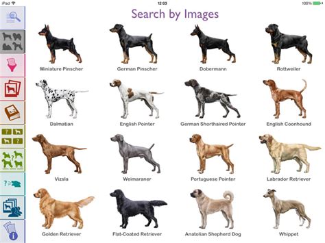 App Shopper Dogs Identification Guide Reference